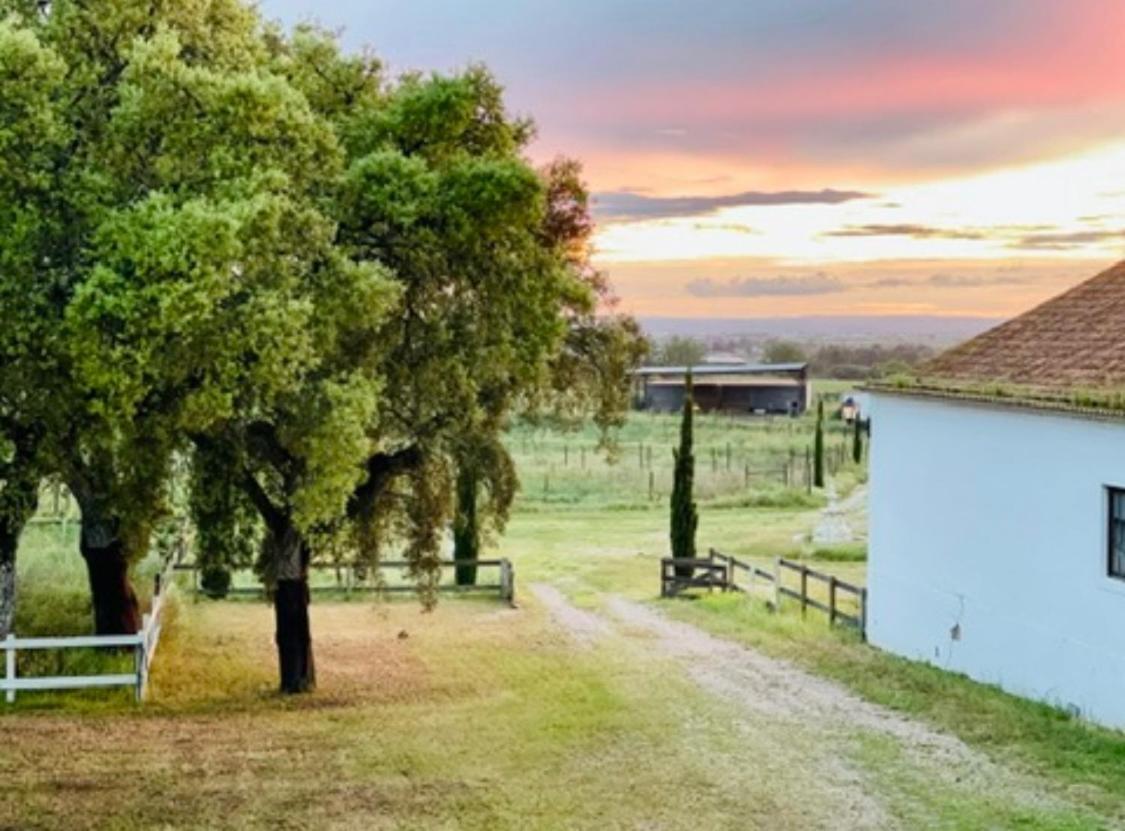 Herdade De Santa Maria Almeirim Exterior photo