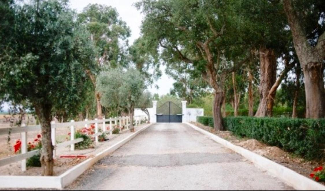 Herdade De Santa Maria Almeirim Exterior photo