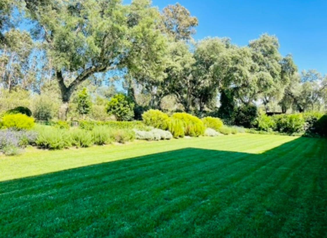 Herdade De Santa Maria Almeirim Exterior photo